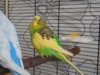 DSCN8921.JPG