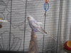 DSCN8920.JPG