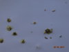 DSC01832.JPG