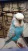 DSC_1739.JPG