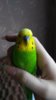 IMG_20170527_152901.jpg
