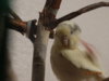 DSC01871.JPG