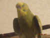 DSC01876.JPG
