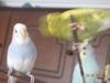 DSC01855.JPG