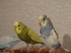 DSC01872.JPG