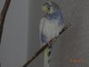 DSC01849.JPG
