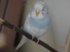 DSC01853.JPG