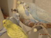 DSC01875.JPG