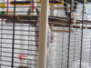 DSCN8955.JPG