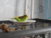DSCN8956.JPG