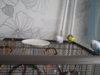 DSCN8959.JPG