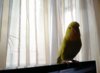 IMG_20170531_150444.jpg