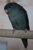 IMG_1827.jpg