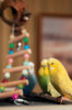 _DSC4461@0,25x.jpg