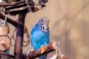 _DSC4317@0,25x.jpg