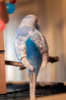 _DSC4287@0,25x.jpg