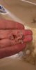 IMG-20170527-WA0037.jpeg