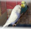 IMG-20170516-WA0089.jpeg
