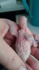 DSC_1901.JPG