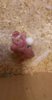 IMG-20170602-WA0112.jpeg