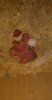 IMG-20170602-WA0114.jpeg