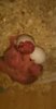 IMG-20170602-WA0116.jpeg