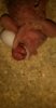IMG-20170602-WA0118.jpeg