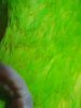 IMG_20170502_222101.jpg