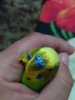 IMG_20170604_215307.jpg