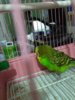 IMG_20170605_002451.jpg