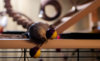 _DSC4421@0,25x.jpg