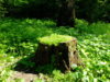 DSCF0189.JPG