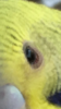 IMG_3812.PNG