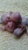 DSC_1918.JPG