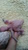 DSC_1923.JPG