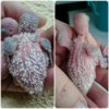 20170607_091258.jpg