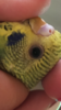 IMG_3836.PNG