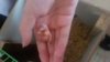 20170607_134903.jpg