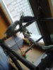 20170607_110551.jpg