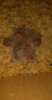 IMG-20170608-WA0056.jpeg