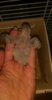 IMG-20170608-WA0052.jpeg
