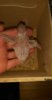 IMG-20170608-WA0048.jpeg