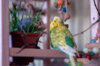 _DSC4654@0,25x.jpg