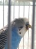 IMG_20170611_170517.jpg