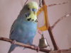 IMG_2636.JPG