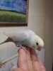 20170613_134941.jpg