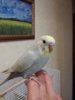 20170613_134929.jpg