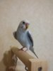 20170613_135558.jpg