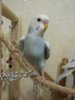 20170613_135705.jpg