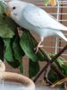 20170613_151117.jpg
